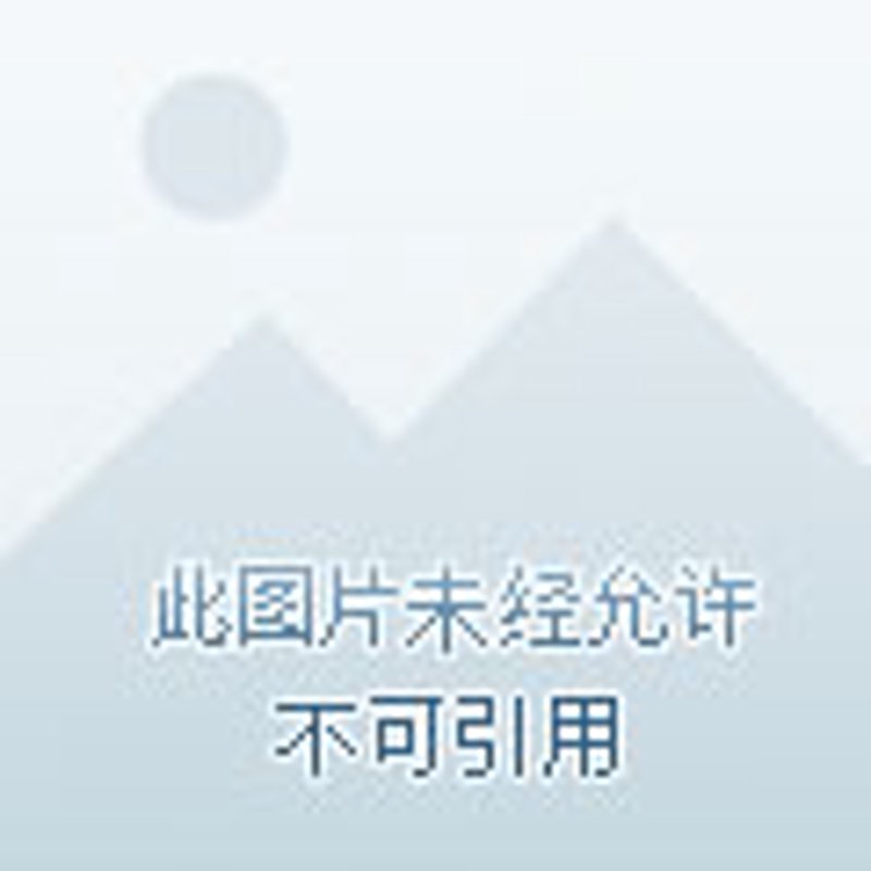 选购燃料油的小技巧